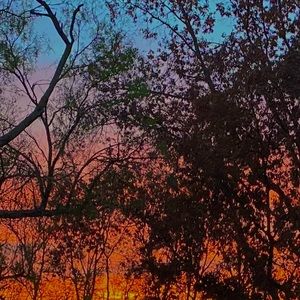 Meet your Posher, Lilly